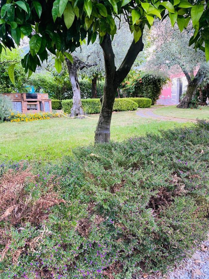 Cali-Formia B&B Esterno foto